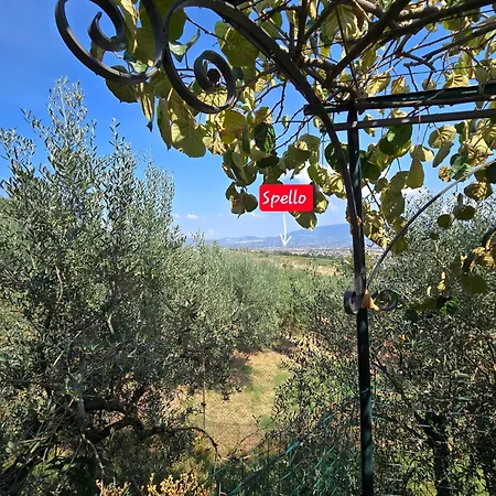 Dimora Kalipe Casa vacanze *